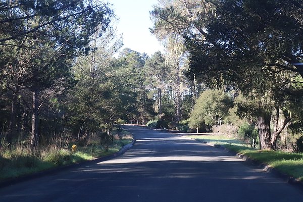 CAMBRIA PINES RD.10
