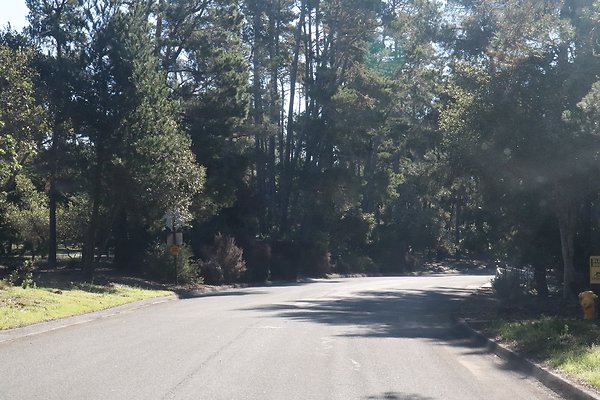 CAMBRIA PINES RD.3
