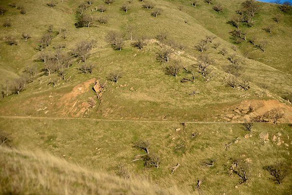 Beartrap.Rd.Past.Pipes.To.13.Mile (30)