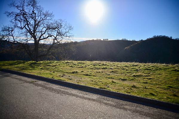 Beartrap.Rd.7.3.Mile (2)