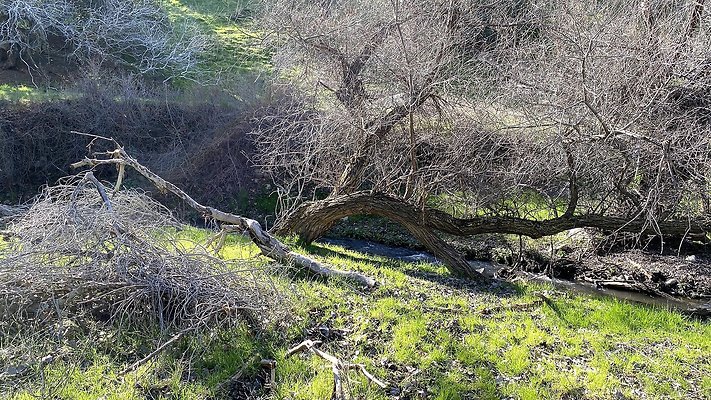 TEJON CREEK CROSS NORTH.4
