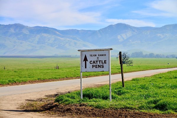 I.TEJON.SEBASTIAN RD OldHQ.8