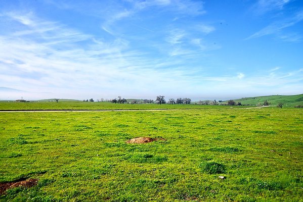 E.TEJON.SEBASTIAN RD OldHQ.6