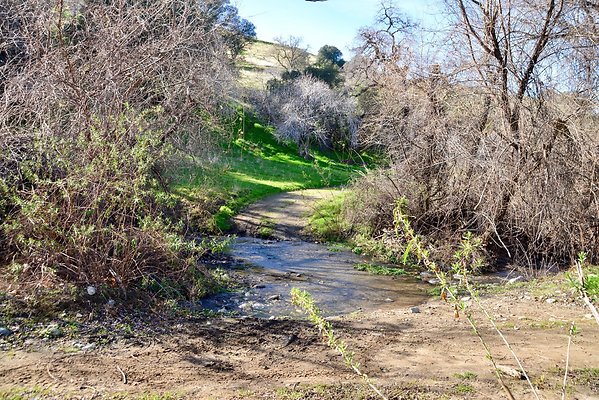 TEJON CREEK CROSS SOUTH.5