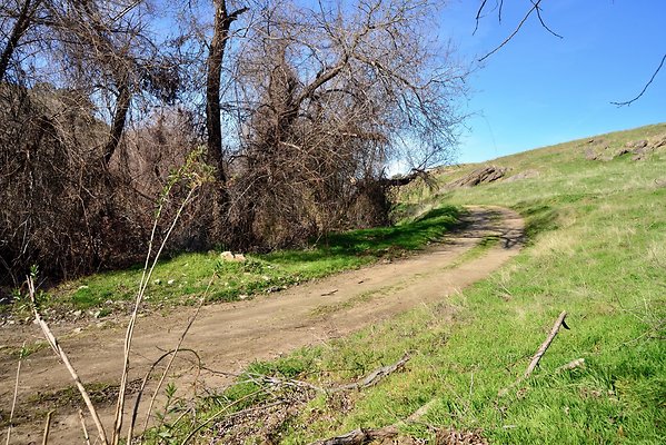 TEJON CREEK CROSS SOUTH.6
