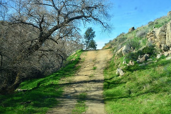 TEJON CREEK CROSS SOUTH.8