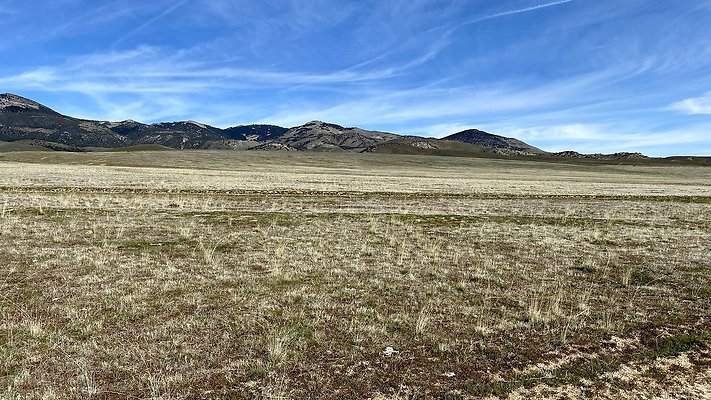D.TEJON.East AFRICA Split Rd.1