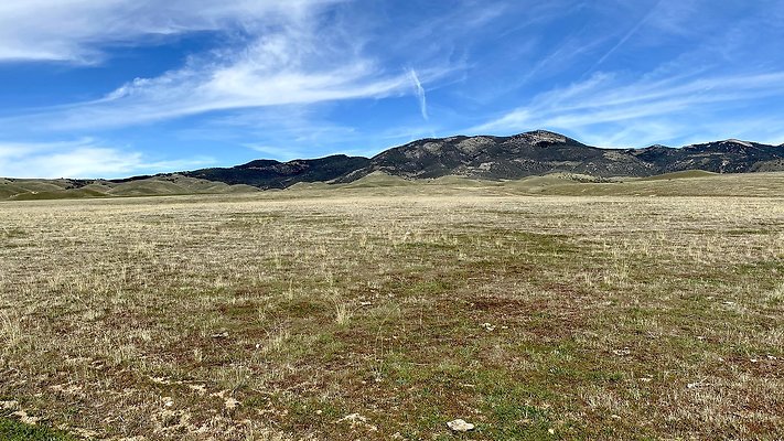 B.TEJON.East AFRICA Split Rd.3