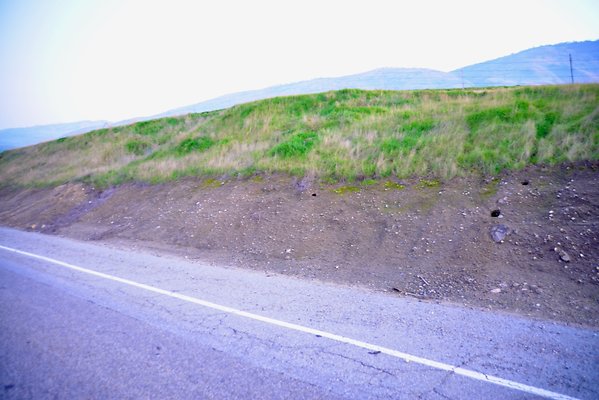 Edmonston.Pump.Rd (23)