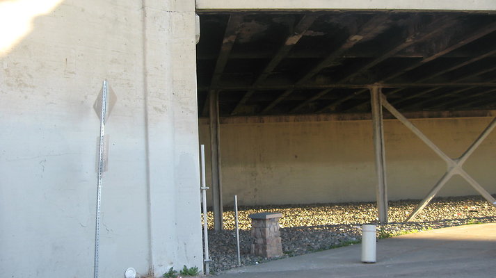 IMG 4542