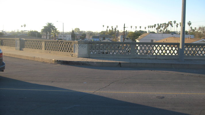 IMG 4521