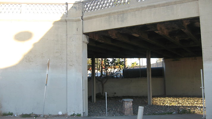 IMG 4543