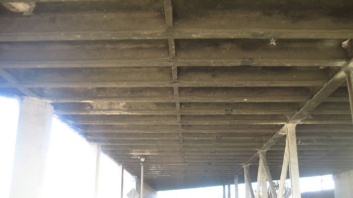 IMG 4561
