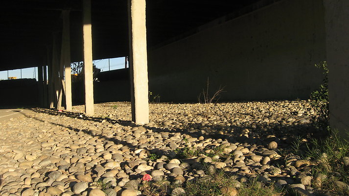 IMG 4560