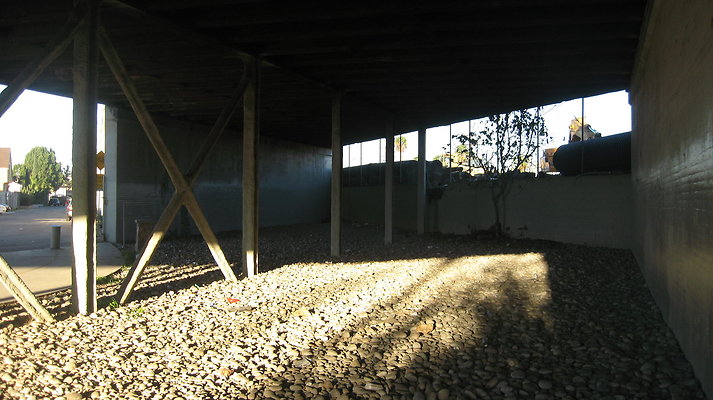 IMG 4551