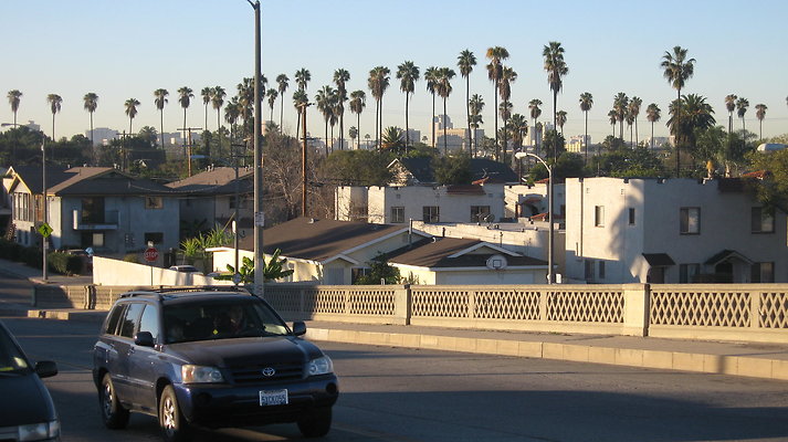 IMG 4533