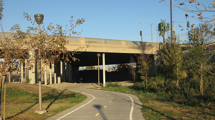 IMG 4555