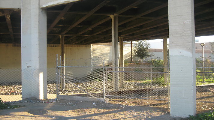 IMG 4546