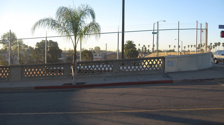 IMG 4507
