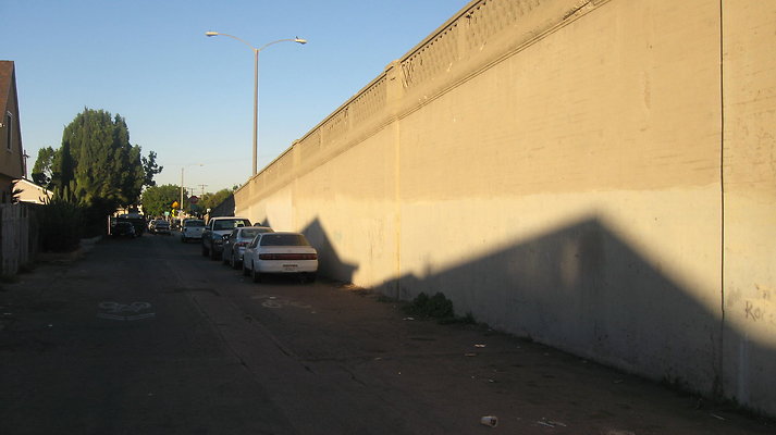 IMG 4541