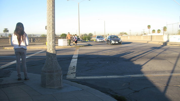 IMG 4535