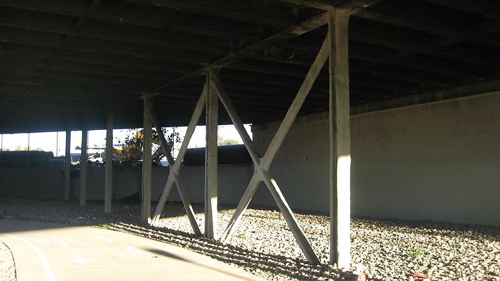 IMG 4562