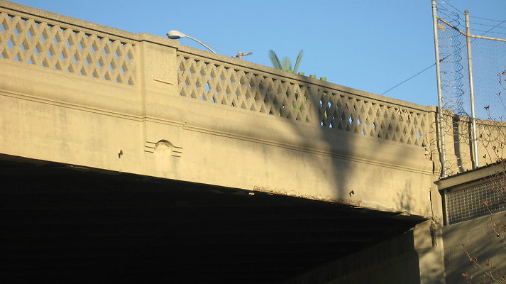 IMG 4559