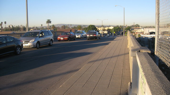IMG 4519
