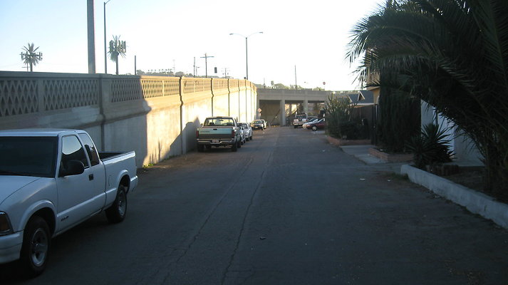 IMG 4539