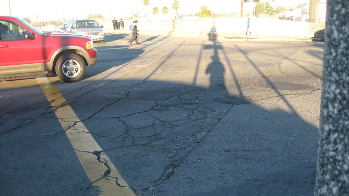 IMG 4531