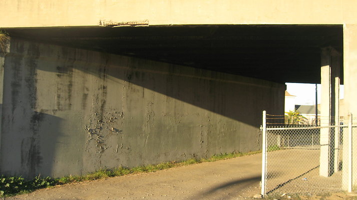 IMG 4554
