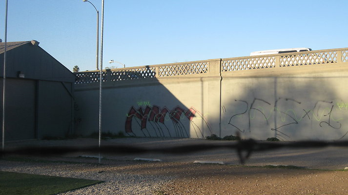 IMG 4557