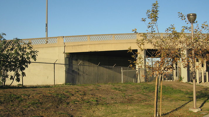 IMG 4556