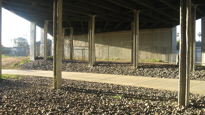IMG 4552
