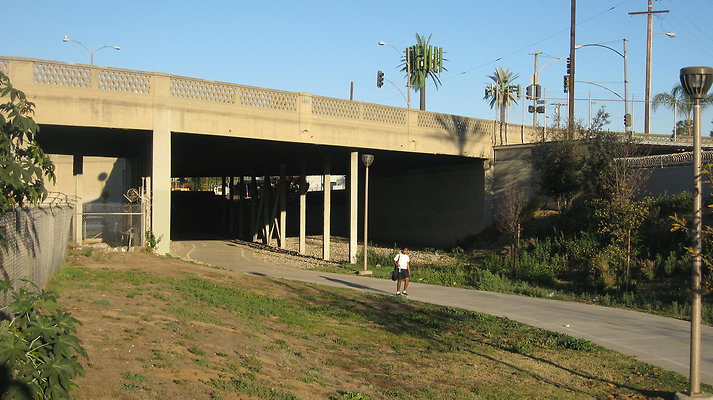 IMG 4558