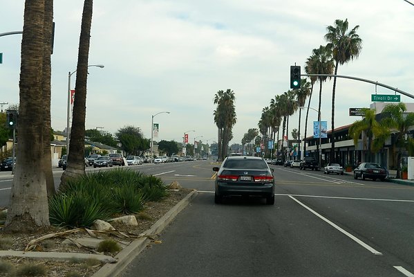 DSC 4385