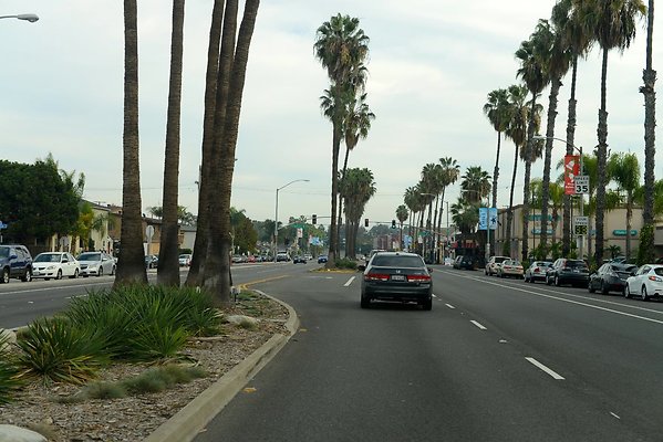 DSC 4386