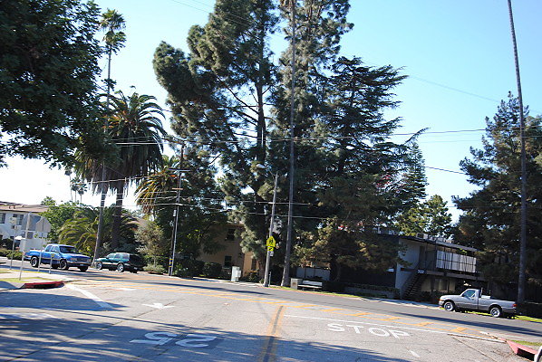 DSC 0091
