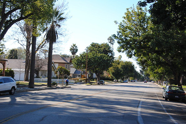 DSC 0081