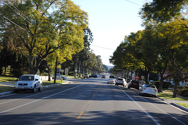 DSC 0259