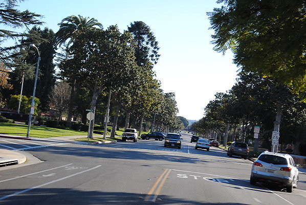 DSC 0260