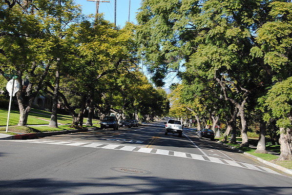 DSC 0201