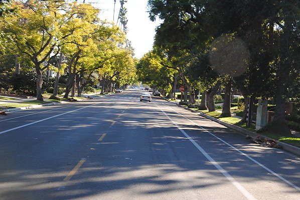 DSC 0193