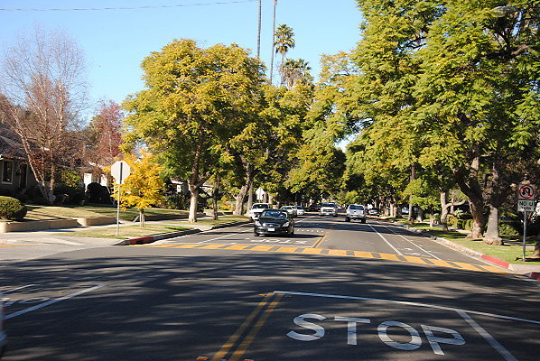 DSC 0211