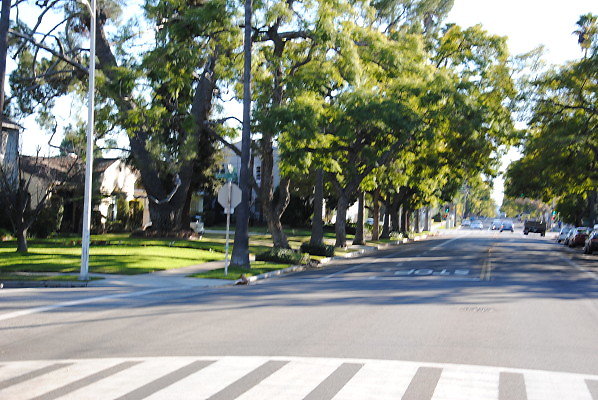 DSC 0198