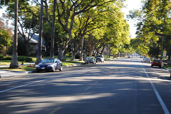 DSC 0182