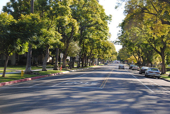 DSC 0187