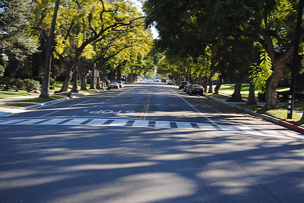 DSC 0195