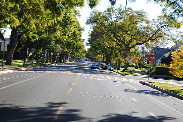 DSC 0186