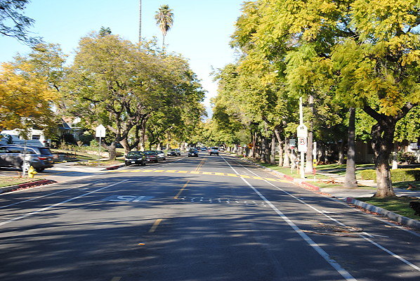 DSC 0209